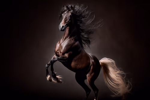 Item #29082809964077671479746814952421386145910700450503917223364975077521801347073 Media