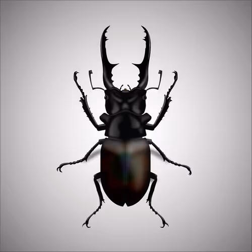 Item #15006194083360452165747859706250248338064014496976576965207408376849434148865 Media