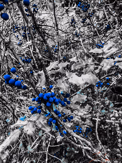 Item #20976301758881134831989222665278936219784108903075361536191037489756927688705 Media