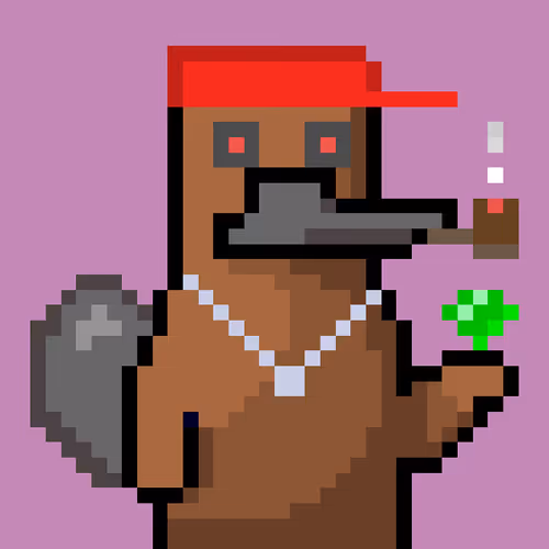 Platypunksofficial
