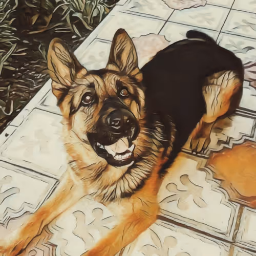 Untitled Collection #120501293