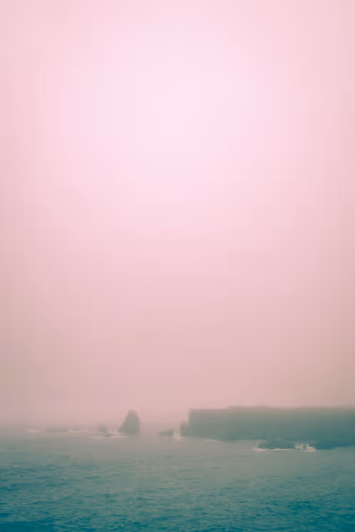 Item #9401445363475959616826929925346071850130199423047290682338619264006300368897 Media