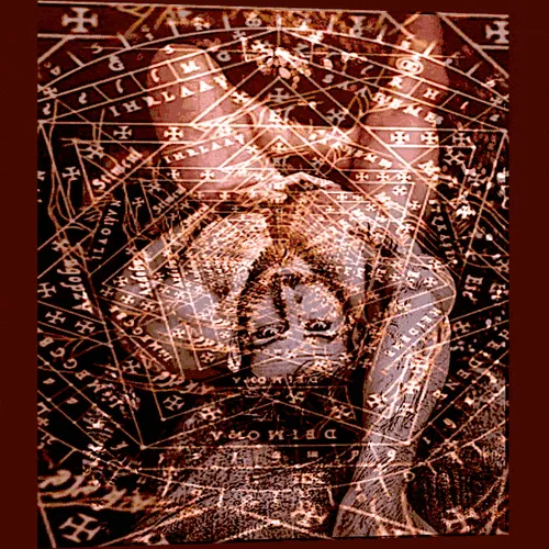 Item #56485572865643406190523004317693602155169995562420708378703551317327499755521 Media