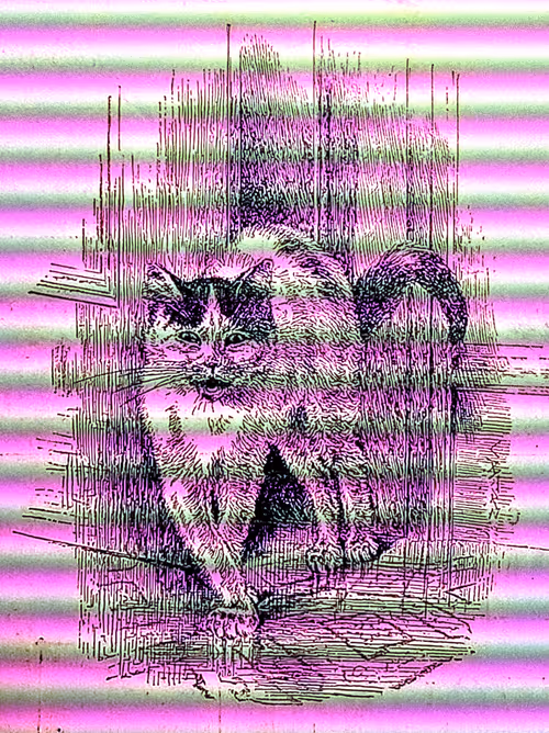 Item #35247308013863639916483757756408588227786114589757564733366544634212538908702 Media