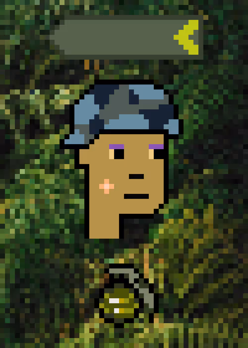 Item #39777865798719210569674577389086874997902268644711778975328867710670894792705 Media