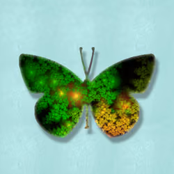 FractalWings#100