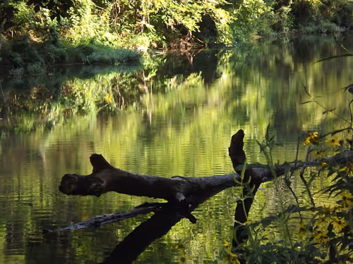 Item #97703427282030741984022634986911983897204836568735072395572896045824699531265 Media