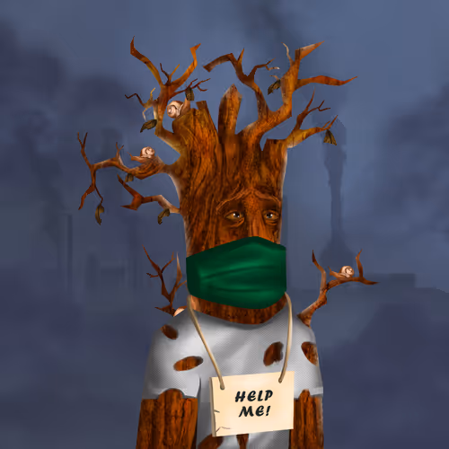 Item #38969088093190670381878411557565580659447067316565611691845276781300185825281 Media