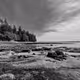 Northwest Shoreline Monochrome