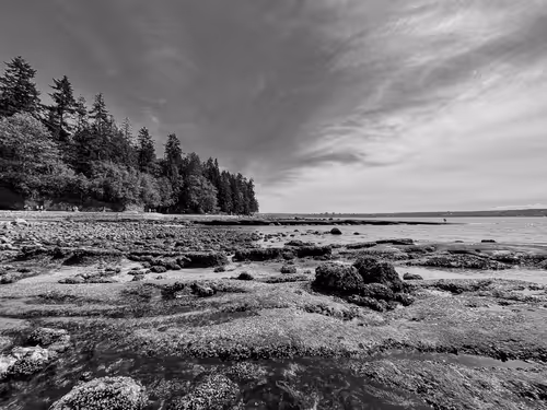 Item #60286361363657250857601775030637471218171117852543341295073304055832450695169 Media