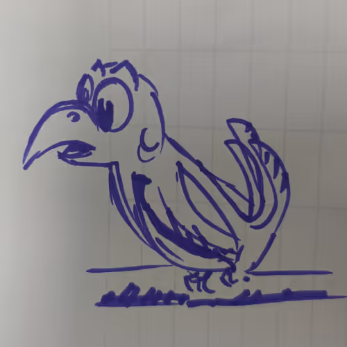curiousbirdy