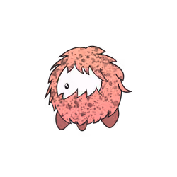 Cave Loper