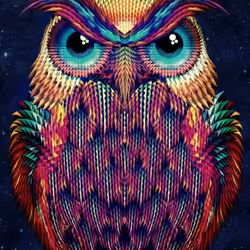 owl art