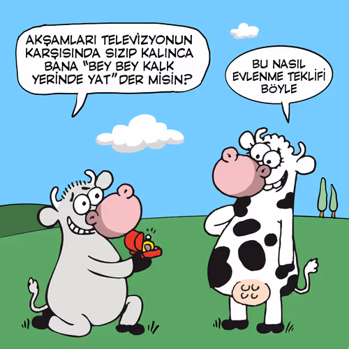 Item #69122917727831532385618958158964921467633342400804643146613699153481886072833 Media