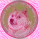 103431148926708344455566594821915252591639464384883828993045439633462652829697