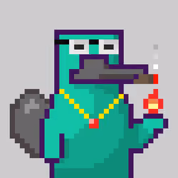 Platy Punk #1517