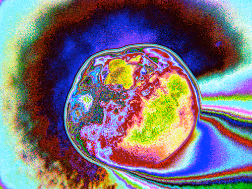 Item #58921648873001727541291667899035918231730626579624698148137299689166310735873 Media