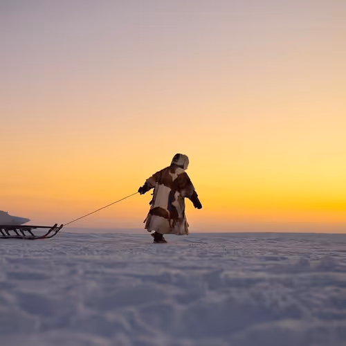 The nature of Yamal.