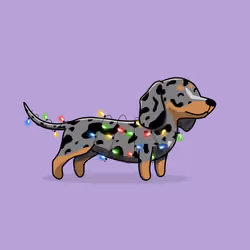 Christmas harlequin Bea