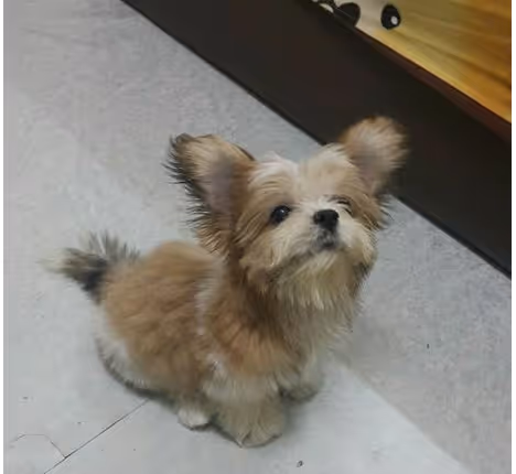 Item #21607923784025543658024067331009769919395041958272689574271021072682877714433 Media