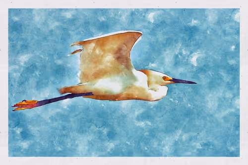 Item #55704534837685659622621715309832868758345944585427688586690141447649692221441 Media