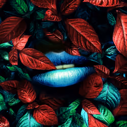 Hide&Seek | #015