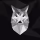 17110441992770775296610936058385417003989643869414936148225376338400759513089