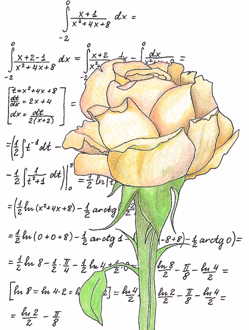 Item #36390991376323569421262646348777471378712705161451959237652915826577373134849 Media