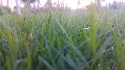 Item #25206245284134753676130577647515477481428319089744618938676699790536809119745 Media