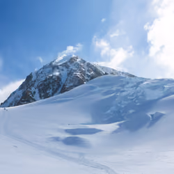 Denali #022