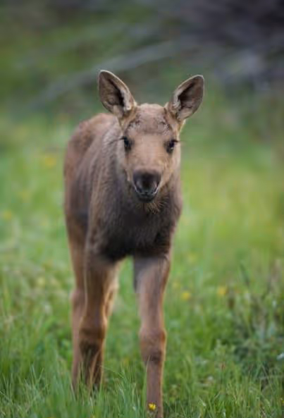 Item #19207338348144225692080396183640865546201068415206893468727031788193699594241 Media