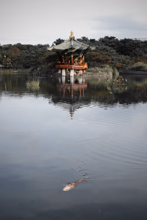 Item #68703111145532235059557453193600179807857195109011232540479344852016950149121 Media