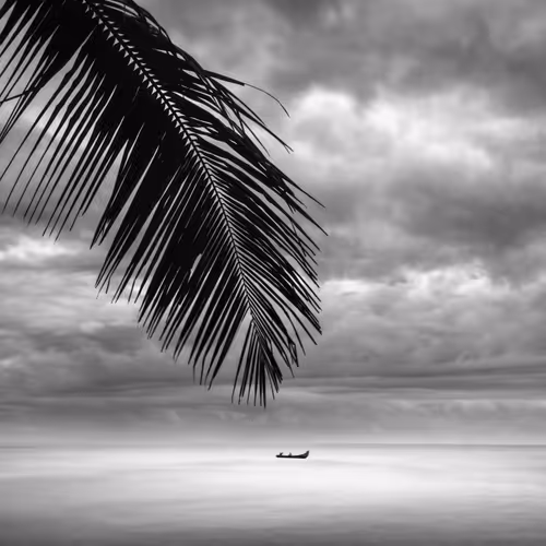 Item #108814857691029429230781820568210235490063919231059486623727012670668879691777 Media