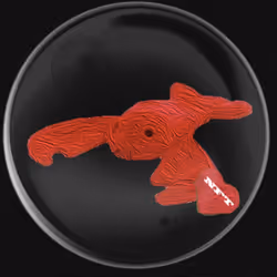 41776025324002017952572422073316458441069080831023694546850787109005338607617