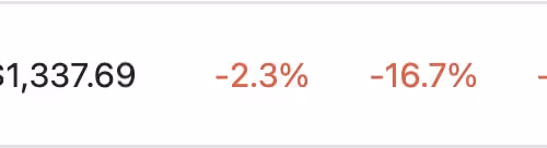 mangodogwood Collection