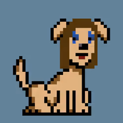 PunkDog #2384