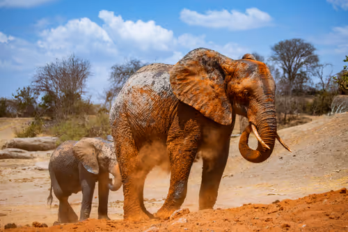 Item #97390858549290517915673057044451120522321858296040786888435299463896468815873 Media