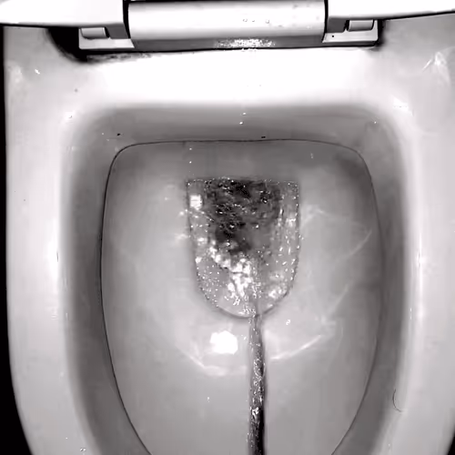 12660136923828748263426703316480839463053827608546839420335323679864737759233