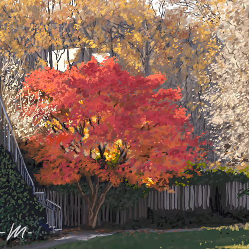 Untitled Collection #37172961