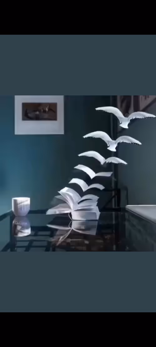 Item #35328132149322260600844231156348789528603887017794547516457243638490787217409 Media