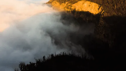 Item #73762504299456065935515086849783523685959452492976107684426143747447961157633 Media