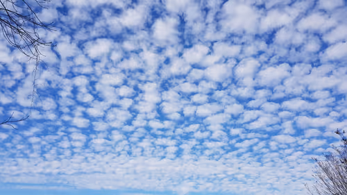 Item #113362109709365944141137886500163150931447814244950449187042120710638253637633 Media