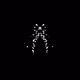 3397474587493956681785712689972211263051158839517272587745186329189192564737