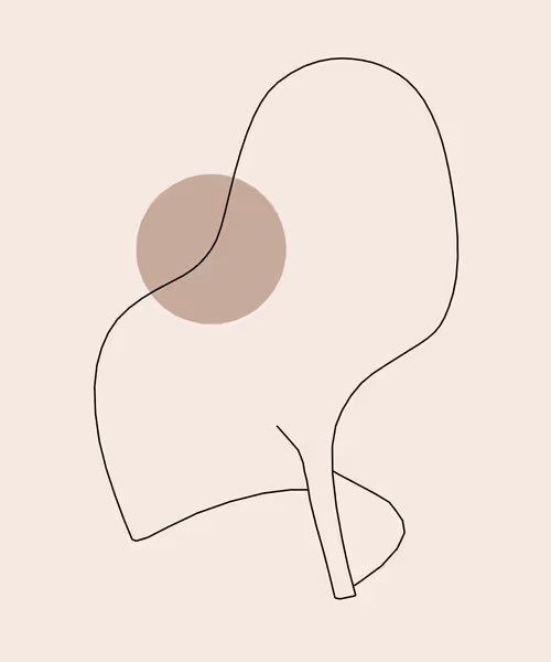 Item #88557894305917749802652520057953835064403668561306975644291800804627822149639 Media