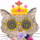 Kitty Queen