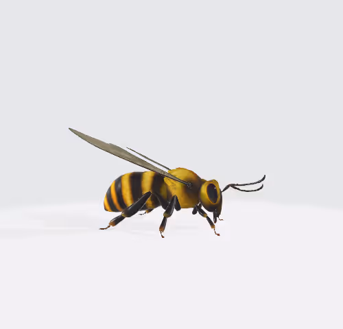 rare bee animation #1