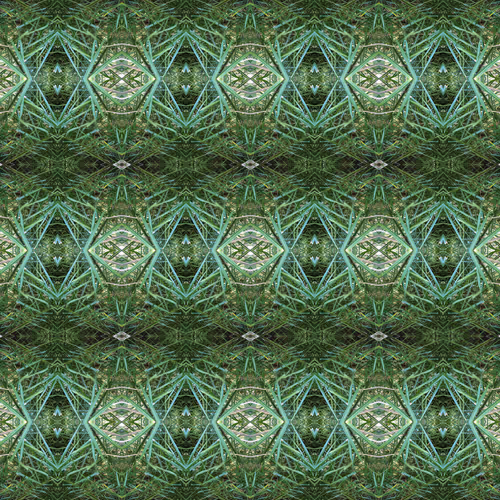 Untitled Collection #13379188