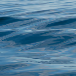Earthly Textures #5002