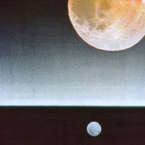 Item #88631356893158652144967614704401008380221966316906107197756520358854405390337 Media