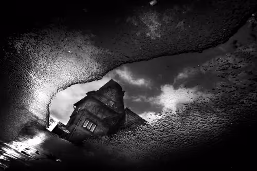 Item #40160686583094733528677484039903516258611509642019211679321071394598026215425 Media